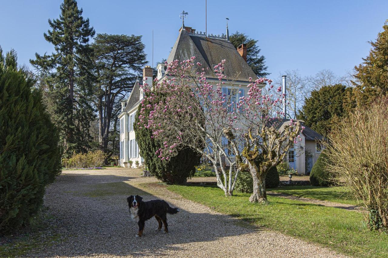 Manoir De La Voute Maison D'Hotes Pouillé 外观 照片