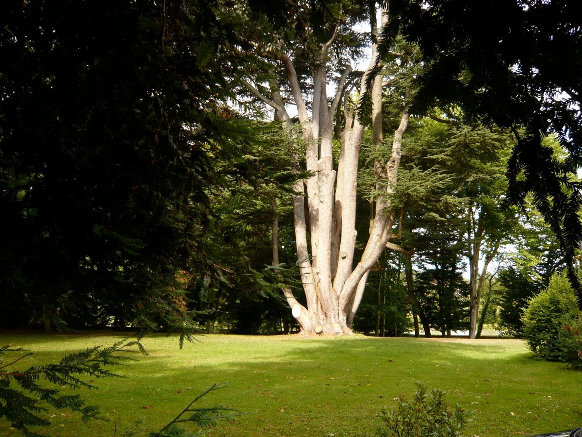 Manoir De La Voute Maison D'Hotes Pouillé 外观 照片